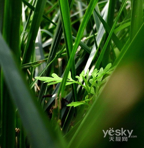 堕落指南千万不能让老婆看见的东西