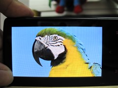 �źڶ���������ť��̨��M31���ⱨ��