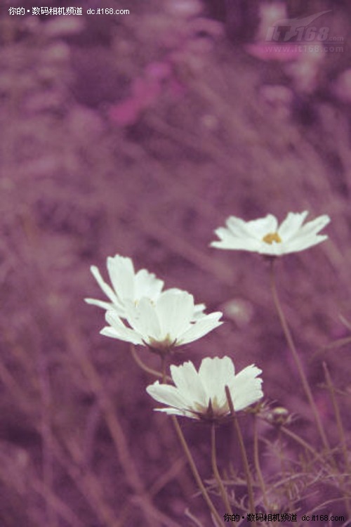 ϵСͼPSʵСһ(3)