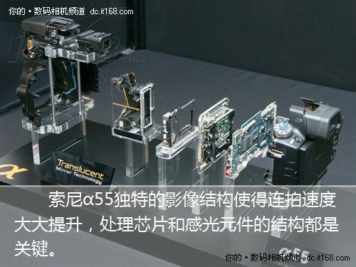 选择少女模仿秀玩转罩杯α55连拍功_数码_哪应该的种小索尼女生胸浮游图片
