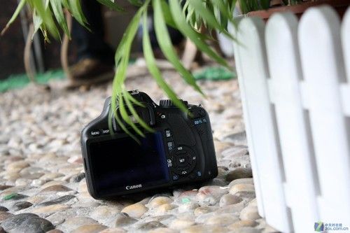 新手也能拍出好片佳能550D套机热销中