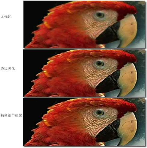 成就OPPO蓝光播放机卓越影像 VRS技术简介