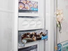 LG新绣球对门冰箱上市直击亮点设计