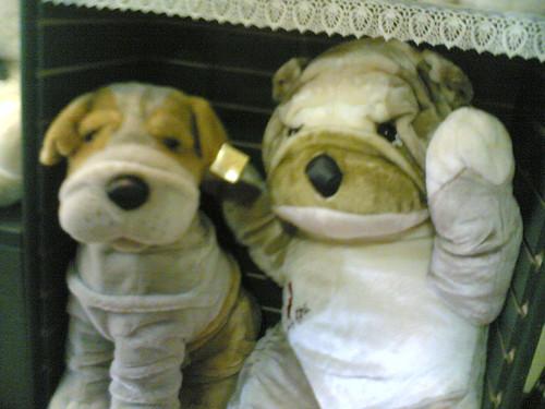 拒绝被骗3.15教你如何选购冰箱