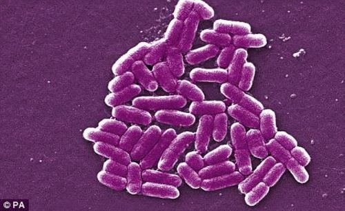 围剿“嗜冷菌”专家支招冰箱消毒攻略