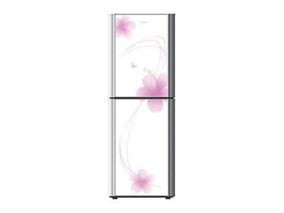 �Ŀ��� BCD-199GFA