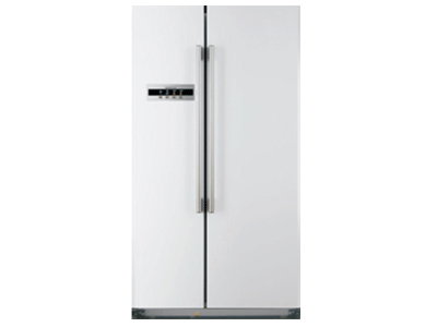 ���� BCD-499WX