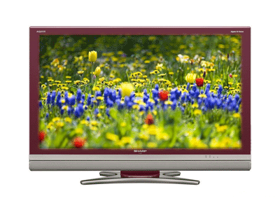 ���� LCD-32D500A-RD