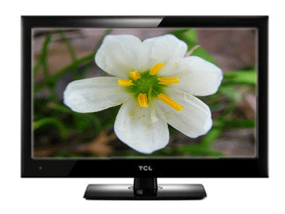 TCL L24P31