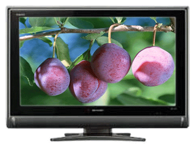 ���� LCD-32J2200A