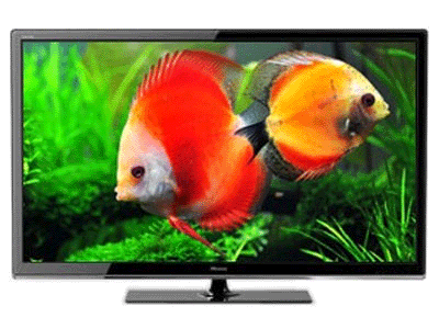 ���� LED55T36GP