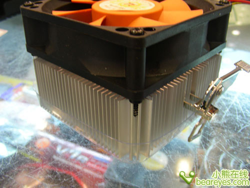 ����ɢװ�������߿���Լ�ɢ�����Ƽ�(5)