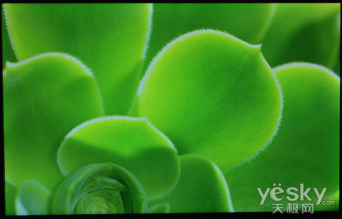 ��ֵ19��LED��ƷsgocoE1902��ʾ������