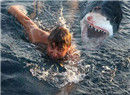 鲨鱼爱攻击男性冲浪者