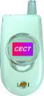 CECT Q518