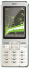CECT C699