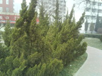 ��Ψ��·����������3G�ֻ�K530c����(5)