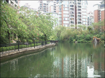 500����������G800������T5����Ա�(5)