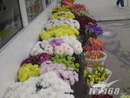 �ٶȽ�������G900��ŵ����N82���ŶԱ�(2)