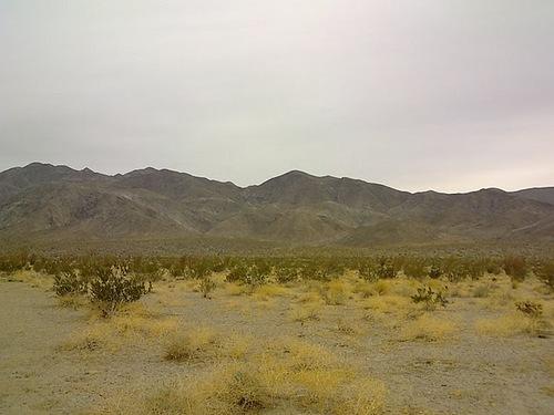 ŵ����X7���������ع�800���������콢