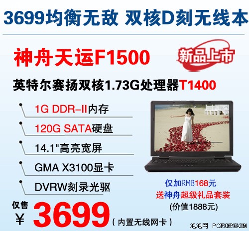 低端霸主1G内存赛扬双核神舟本3299