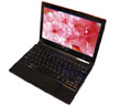 IdeaPad U110