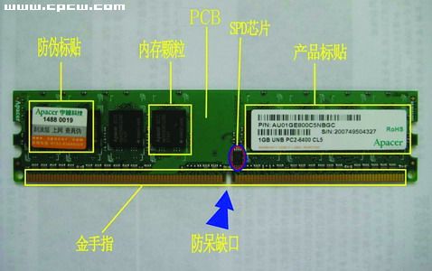 [2008-12期]为啥内存长这样?(图)_滚动新闻