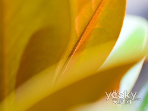 WindowsVistaϵͳ��Ȼ��ֽ����(��)