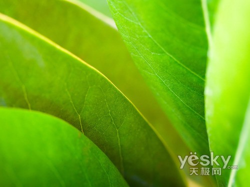 WindowsVistaϵͳ��Ȼ��ֽ����(��)