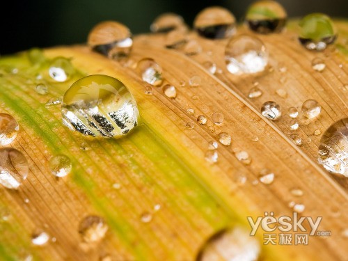 WindowsVistaϵͳ��Ȼ��ֽ����(��)
