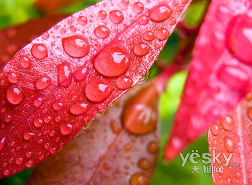 WindowsVistaϵͳ��Ȼ��ֽ����(��)
