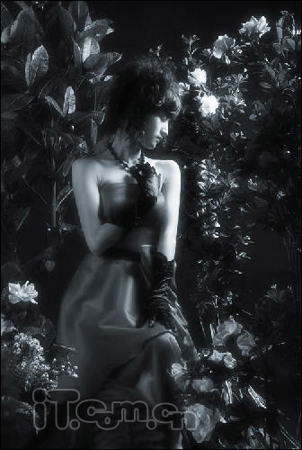 PhotoshopƷɫ̳(2)