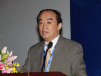 �����ں�ר���鸱�鳤�ܺ���