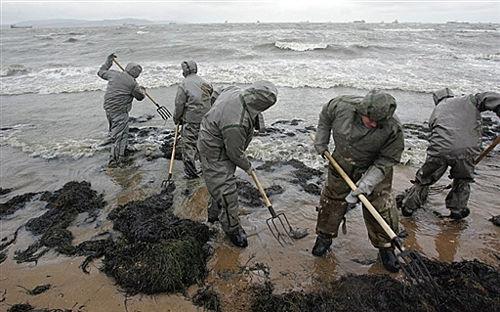 图文:黑海重油泄露事故导致生态灾难_科学探索