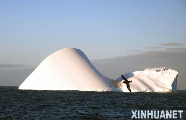 ѩ���ź������ϼ�׳�۱�ɽǧ�˰�̬(ͼ)