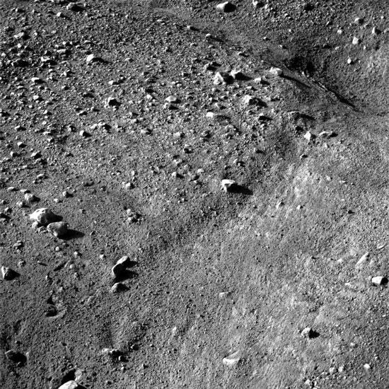 组图：凤凰号首批火星照片高清晰图片(3)