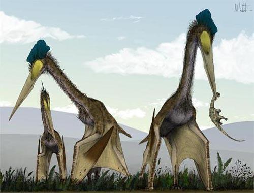 2.3亿年前巨型翼龙以霸王龙为食(图)