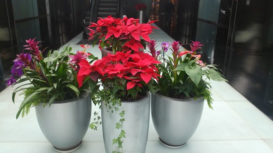 5.5����+����800����������VIBEZ����(4)