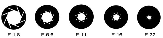 5.5����+����800����������VIBEZ����(4)