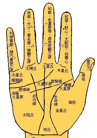 八卦命理：会一夜暴富的手相(图)_新浪星座_新浪网