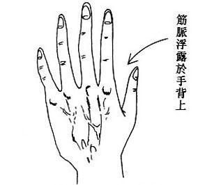女人手相之年纪掌中藏(图片来源于作者博客)