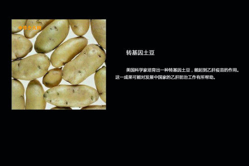 如何识别<em>转基因</em>食品_<em>圣女果是转基因</em>的吗_圣