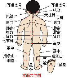 宝宝背部的关键穴位