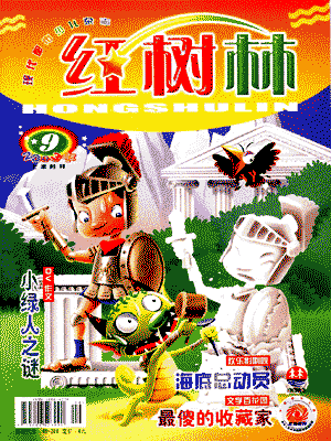 《红树林》杂志介绍