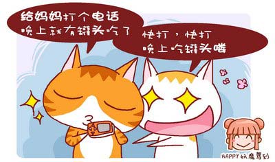 宠友原创猫咪四格漫画(组图)