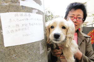 好心人在捡到狗的地方贴了招领启事.