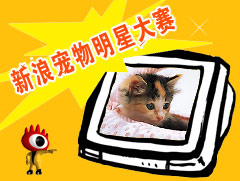 2008�����˳������Ǵ�����Ļ