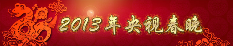 2013Ӵ