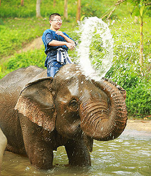 ̩������������֮��