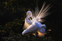 �������������